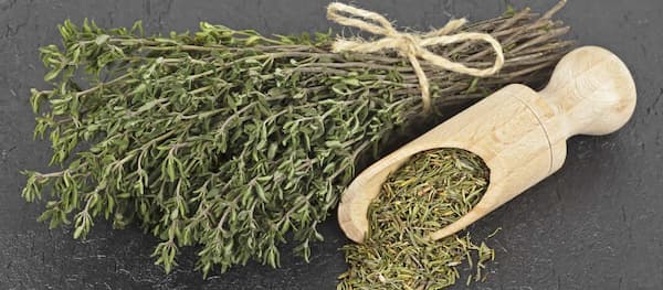 تصویر 4 از قیمت خرید آویشن شیرازی خشک + فروش ویژه